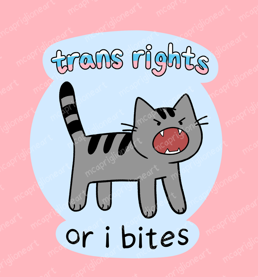 Trans Rights or I Bites Cat Sticker