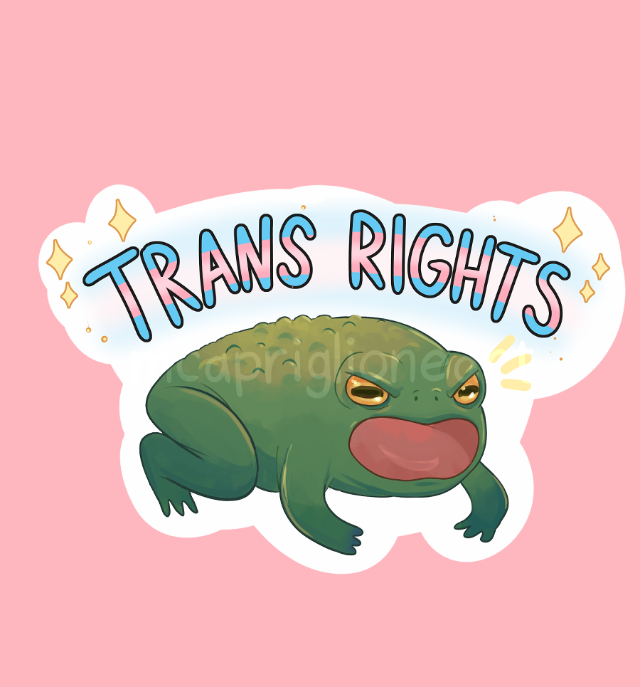 trans rights frog sticker